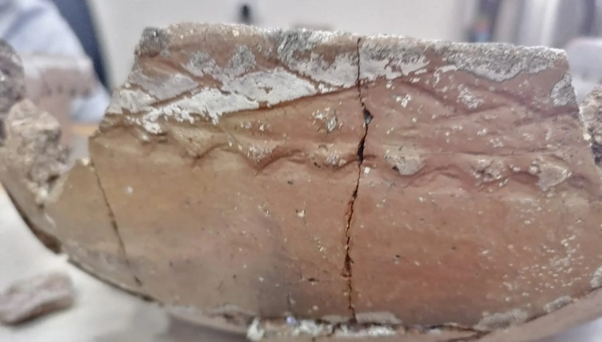 На Алтае нашли керамическую чашу возрастом около 2500 лет