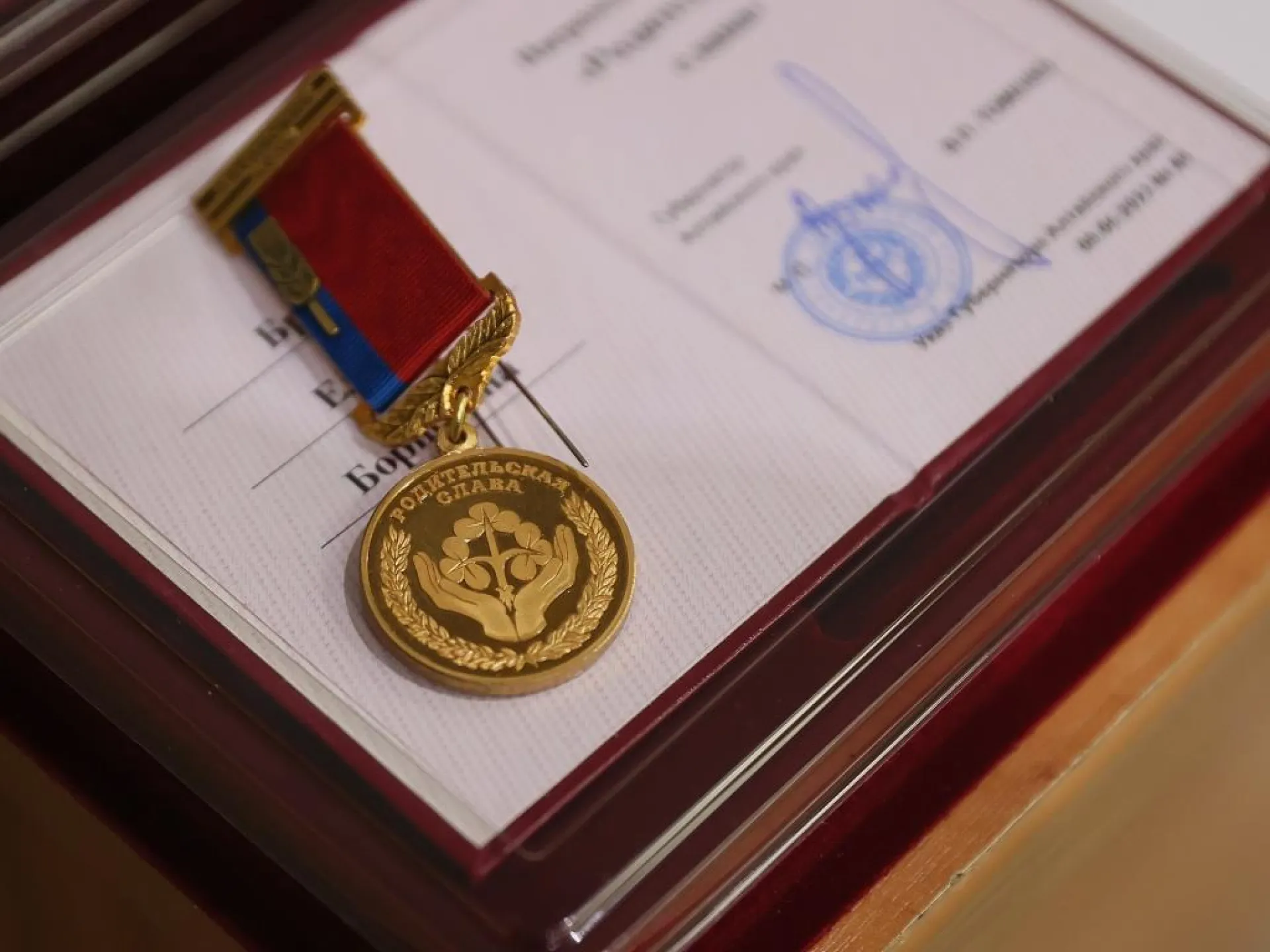 Многодетные семьи Алтайского края в преддверии Дня матери получили региональные награды от губернатора