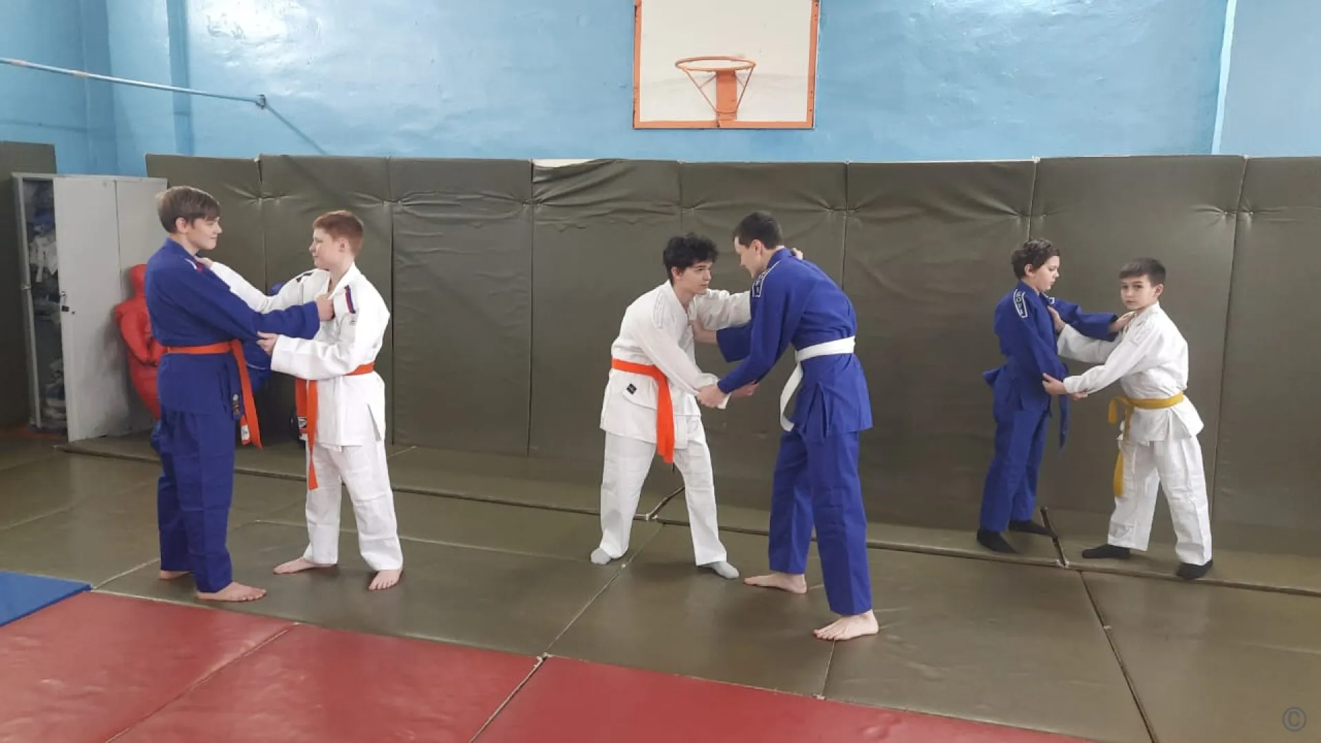 Спортивное оборудование закупили школы Барнаула