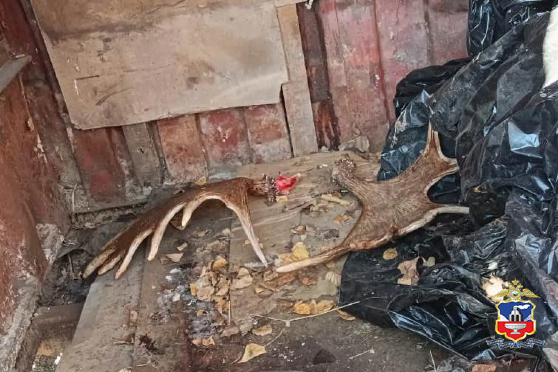 Многогранного браконьера задержали в Калманском районе