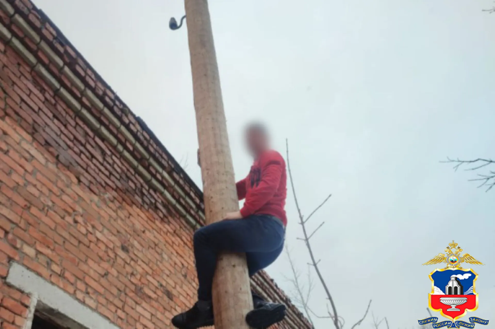 Мужчина срезал более 1,6 километра кабеля, обесточив поселок в Алтайском крае Мужчина срезал более 1,6 километра кабеля, обесточив поселок в Алтайском крае