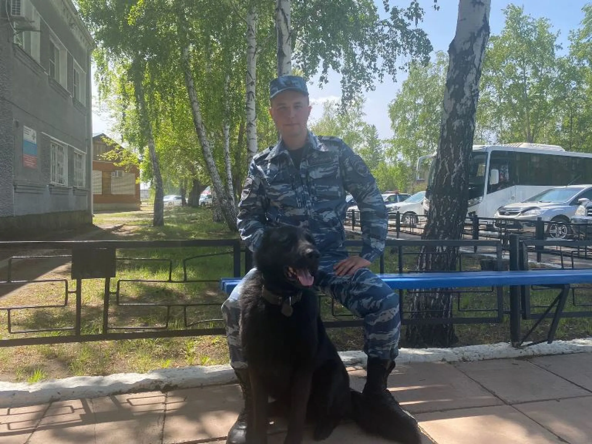 Полицейская собака раскрыла кражу двух баранов в Алтайском крае Полицейская собака раскрыла кражу двух баранов в Алтайском крае