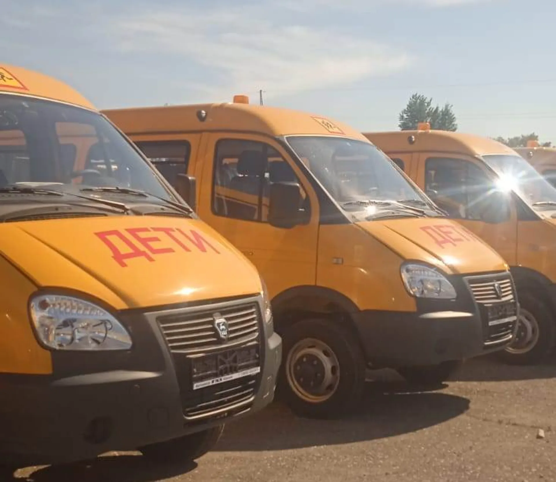 Новые школьные автобусы получат районы Алтайского края Новые школьные автобусы получат районы Алтайского края