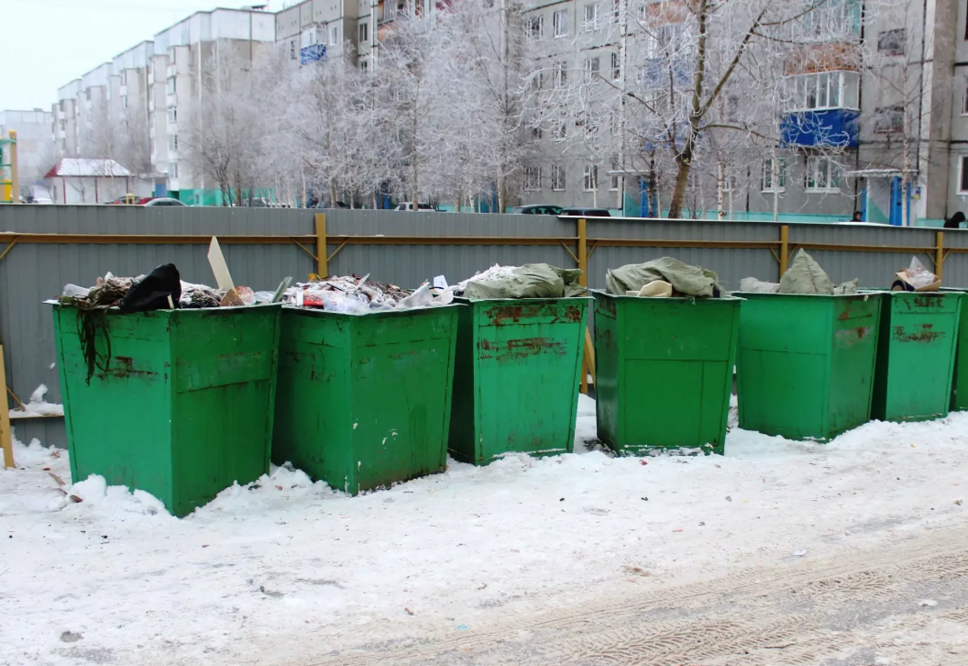 Положил не то: барнаульца оштрафовали за то, что выбросил мусор в контейнер