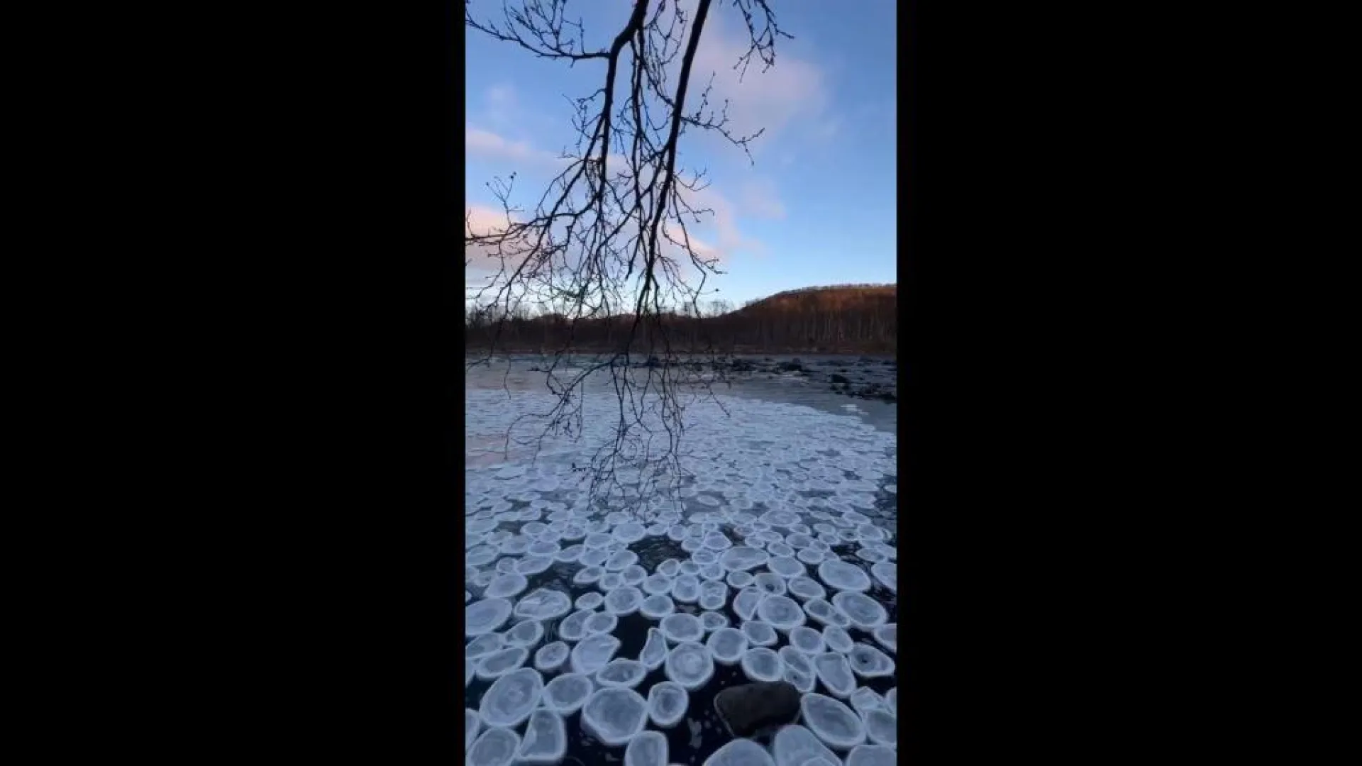 Необычное природное явление на поверхности реки заметили в Мурманской области Необычное природное явление на поверхности реки заметили в Мурманской области