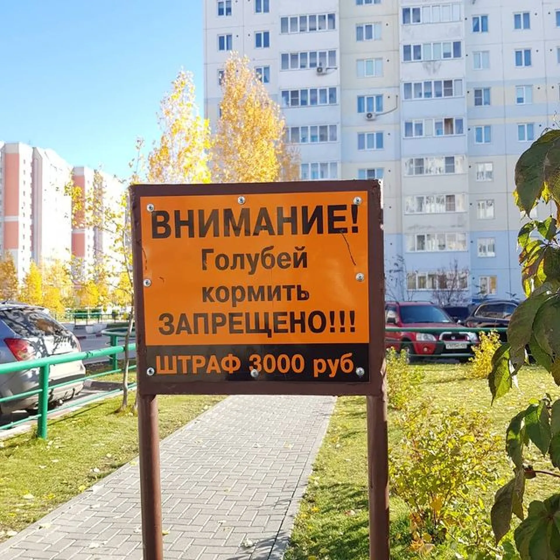 Таблички с запретом кормить голубей появились в барнаульском квартале новостроек