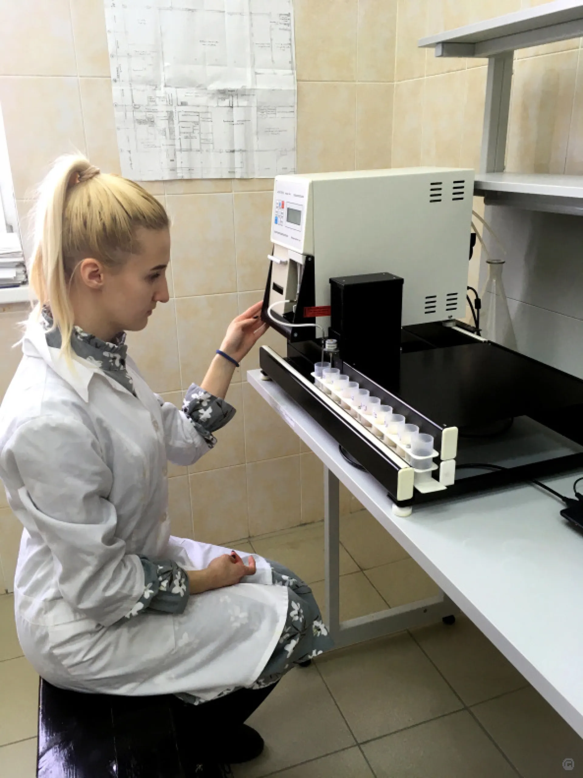 Студенты Алтайского аграрного университета разработали стартап по производству растительного молока с ягодами