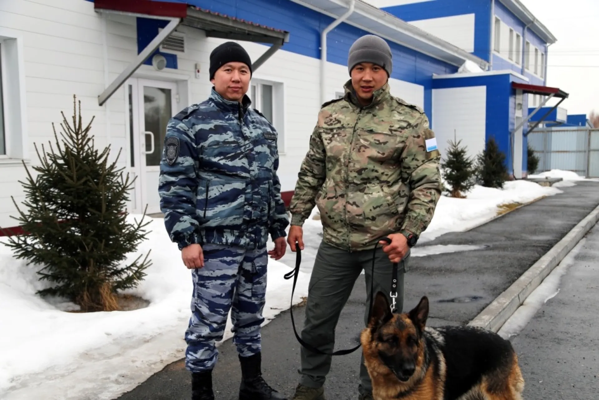 Ушедшая на пенсию полицейская собака обрела нового хозяина на Алтае Ушедшая на пенсию полицейская собака обрела нового хозяина на Алтае