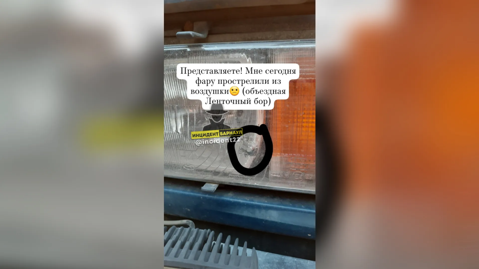 «Прострелили фару»: жительница Барнаула рассказала о стрельбе в Ленточном бору