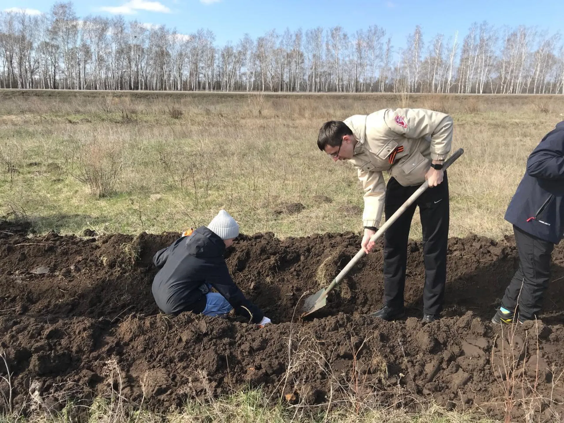 Рябиновую аллею высадили на въезде в село Новичиха