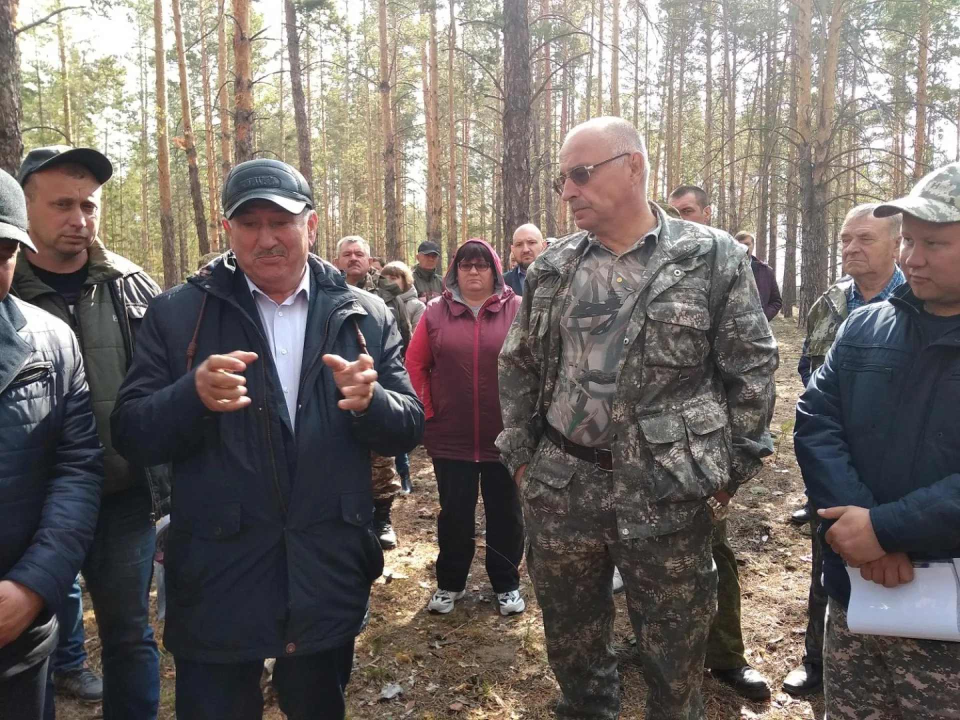 Вопросы сохранения и восстановления лесов обсудили в Алтайском крае
