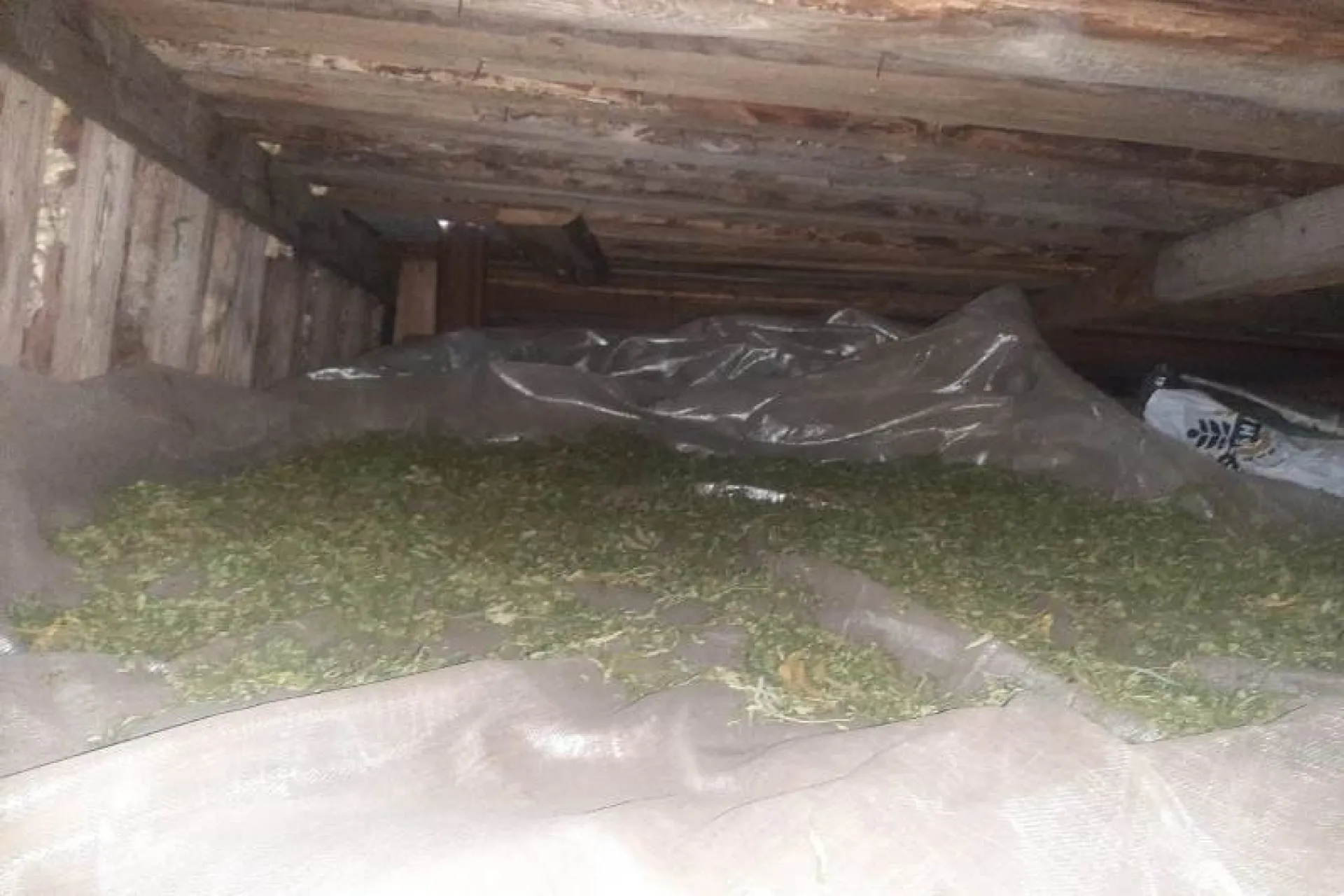 Полицейские конфисковали у запасливого пенсионера более килограмма марихуаны в Алтайском крае