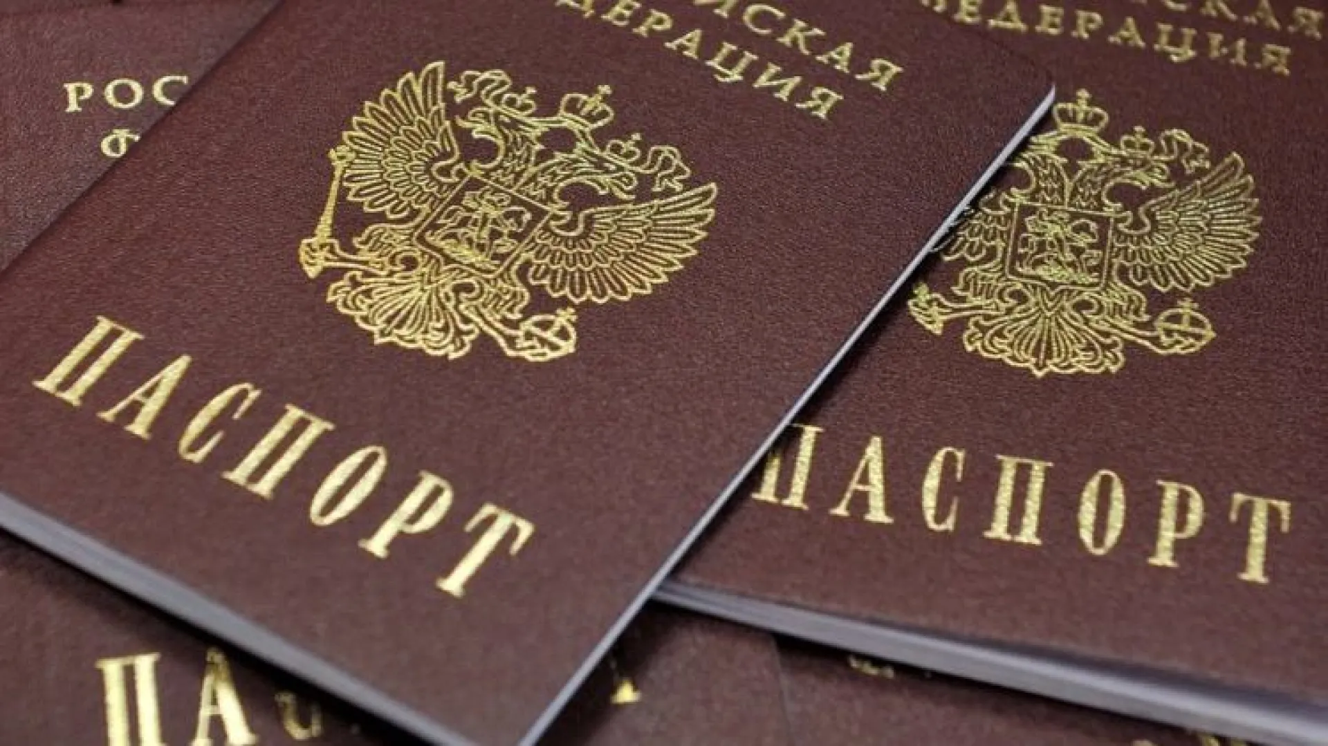 Рассказываем, что делать, если на ваш паспорт взяли кредит 