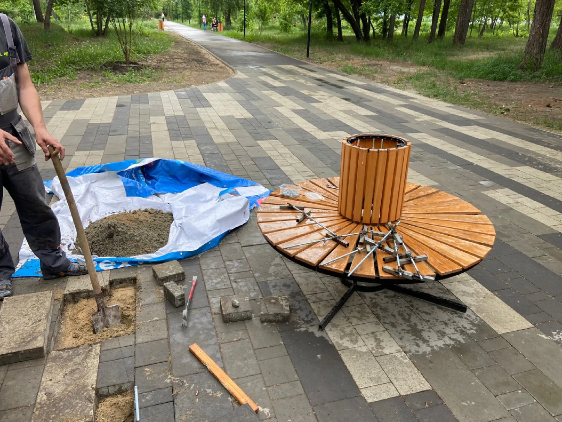 Новые деревья появятся в Мизюлинской роще Барнаула