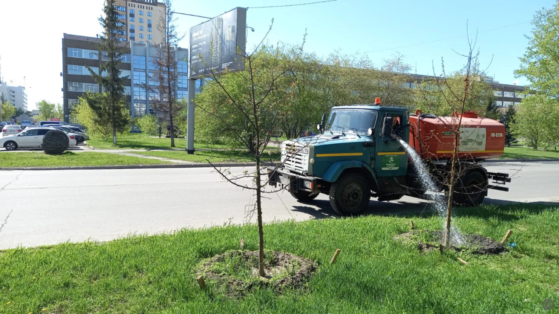 К поливу деревьев и цветников приступили в Барнауле К поливу деревьев и цветников приступили в Барнауле