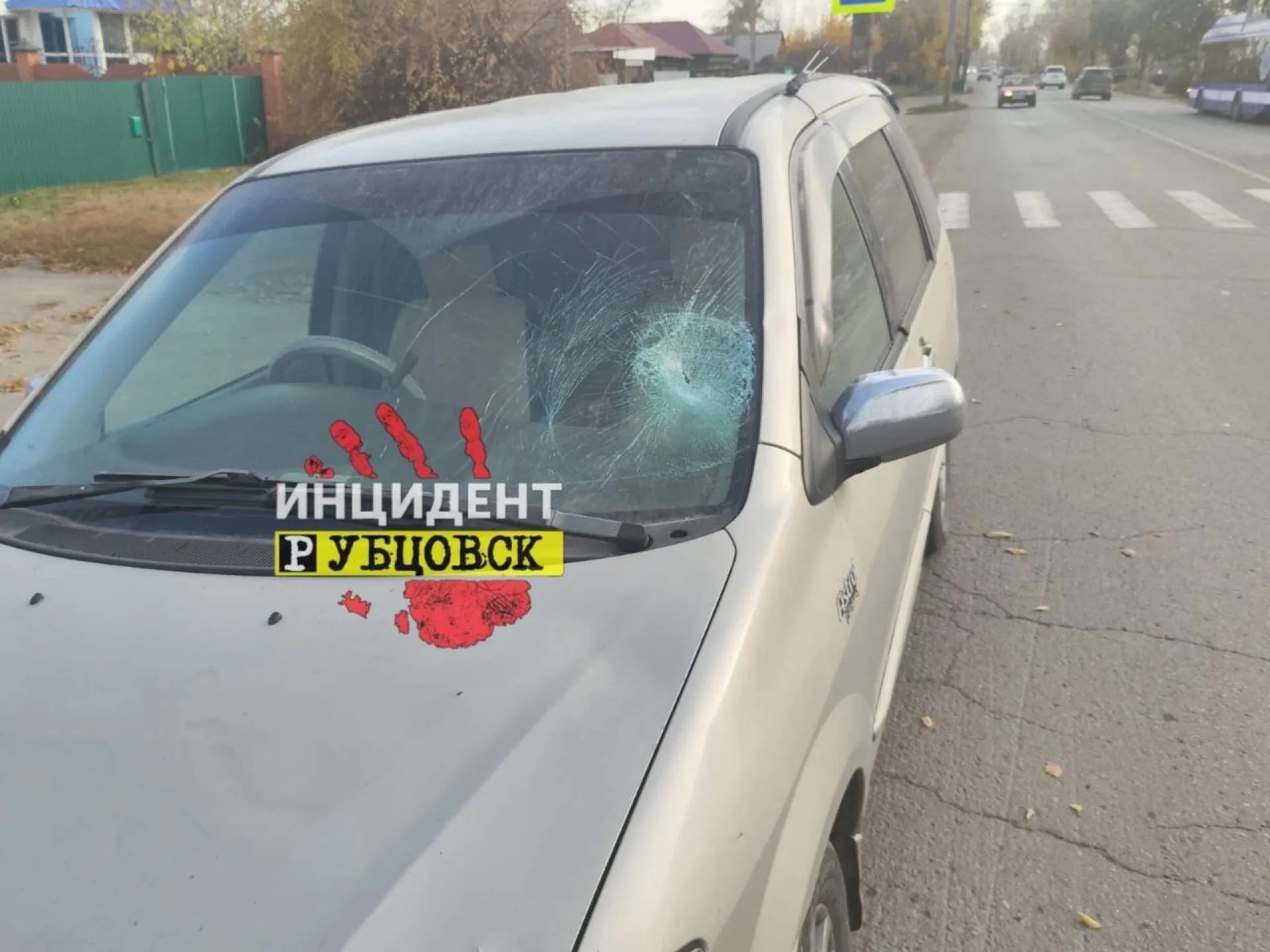 Пешехода насмерть сбили в Рубцовске