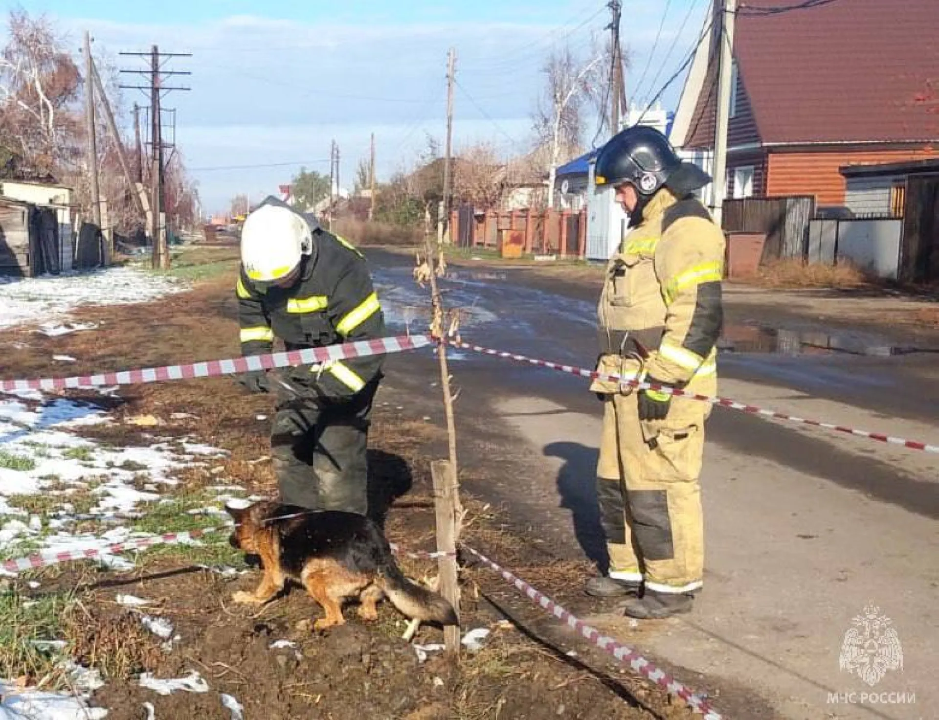Немецкую овчарку достали со дна ямы в Благовещенском районе