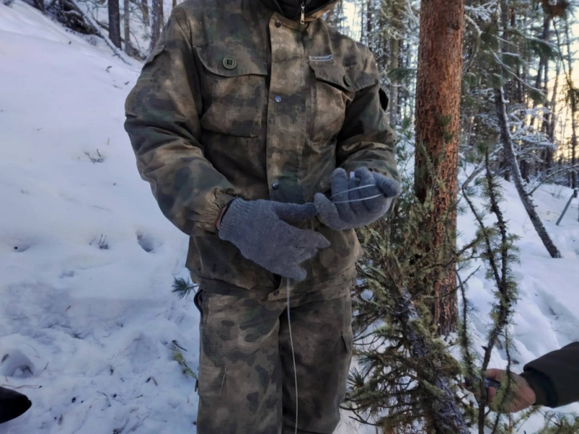 Трёх браконьеров задержали на Алтае