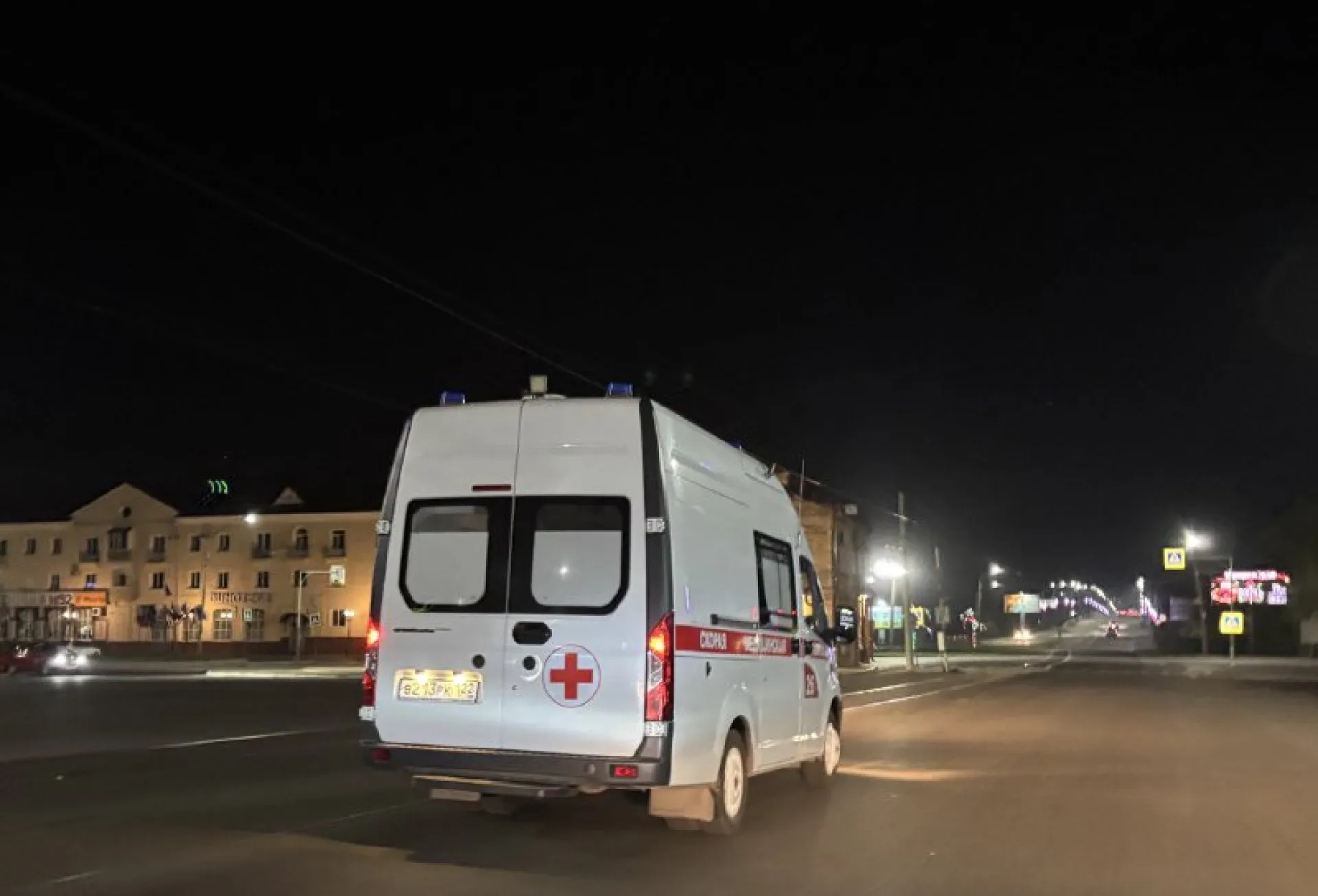 Лось спровоцировал ДТП в пригороде Бийска Лось спровоцировал ДТП в пригороде Бийска