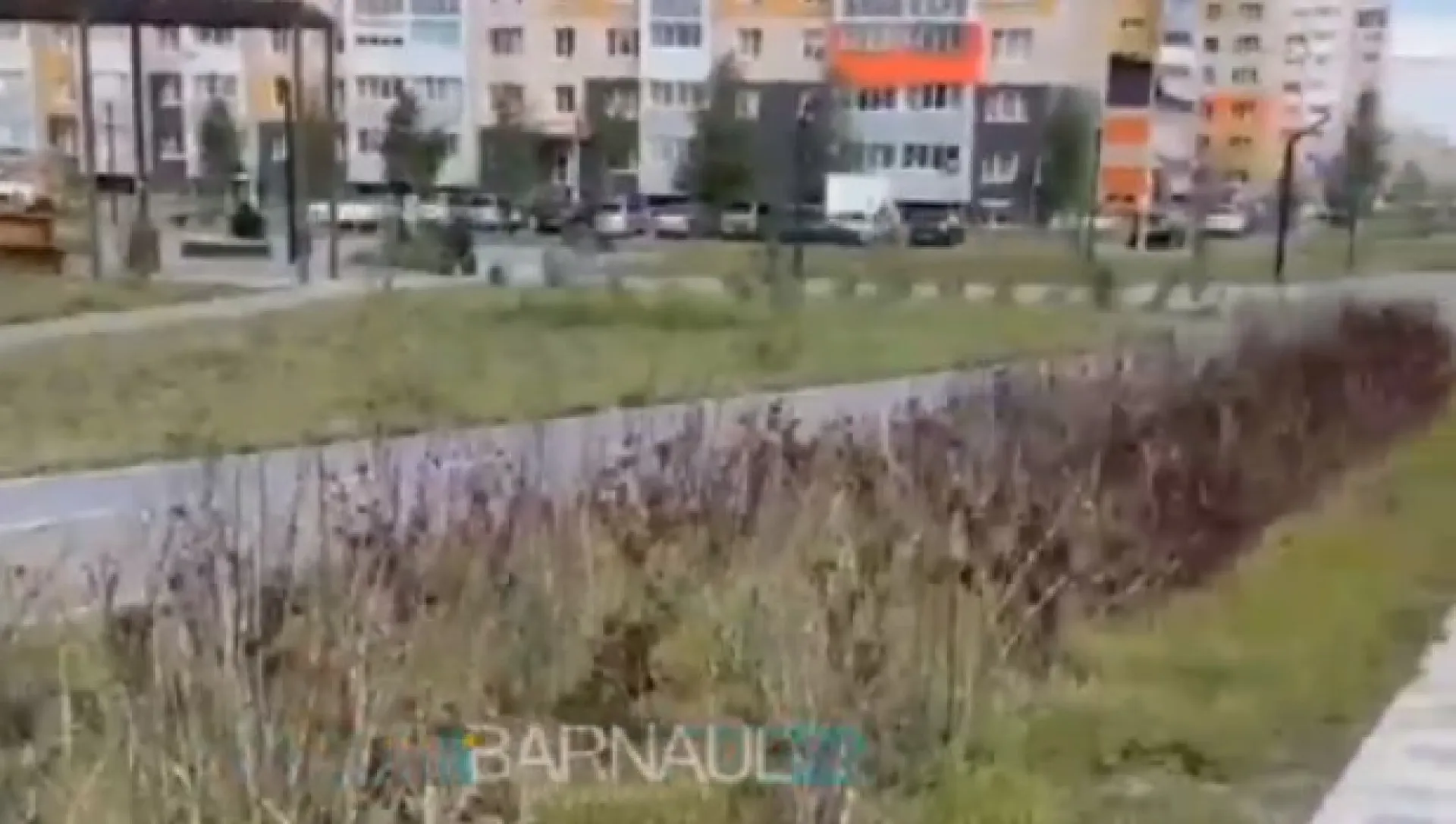 Барнаульцы пожаловались на «заброшенный сквер»