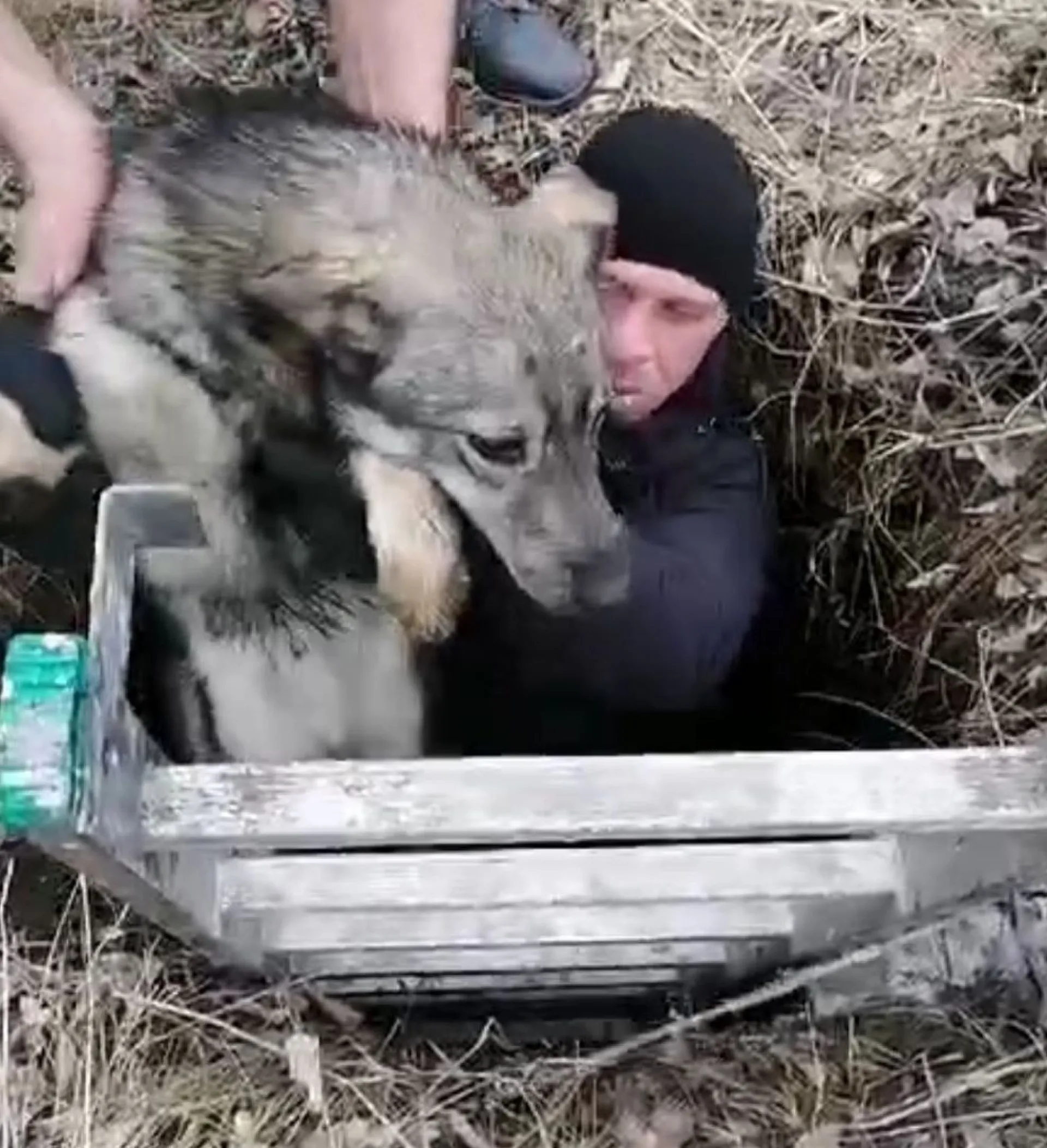 Добрая история из Камня-на-Оби: местный житель спас собаку, упавшую в колодец Добрая история из Камня-на-Оби: местный житель спас собаку, упавшую в колодец
