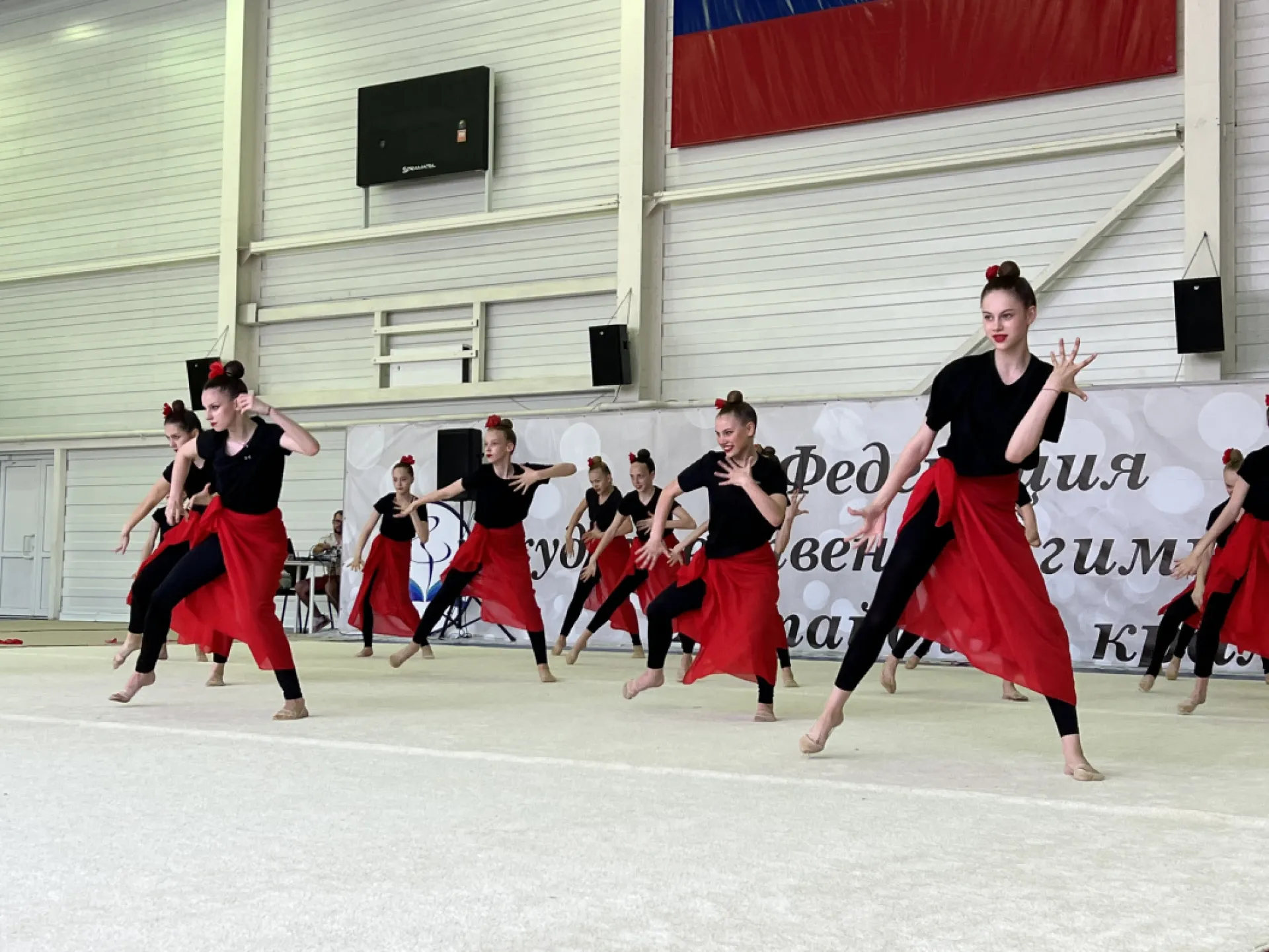 Барнаул встретил проект по художественной гимнастике «Искусство в спорте» 