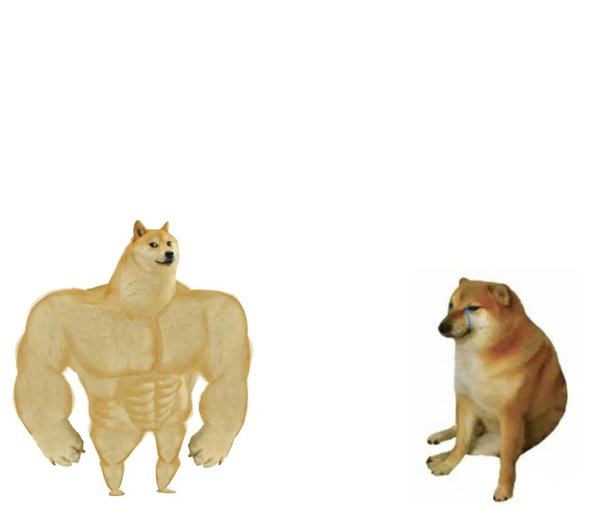 Собака из известного мема Doge умерла в возрасте 18,5 года Собака из известного мема Doge умерла в возрасте 18,5 года