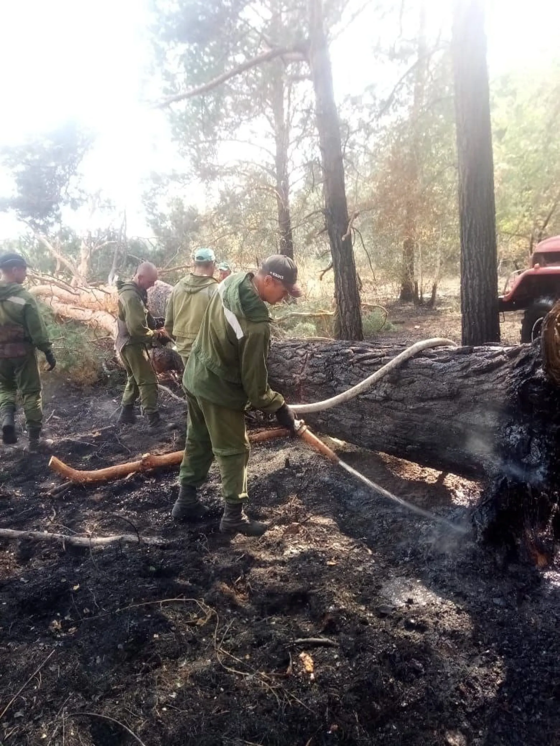 В Минприроды рассказали, как проходит тушение пожаров в Угловском районе В Минприроды рассказали, как проходит тушение пожаров в Угловском районе