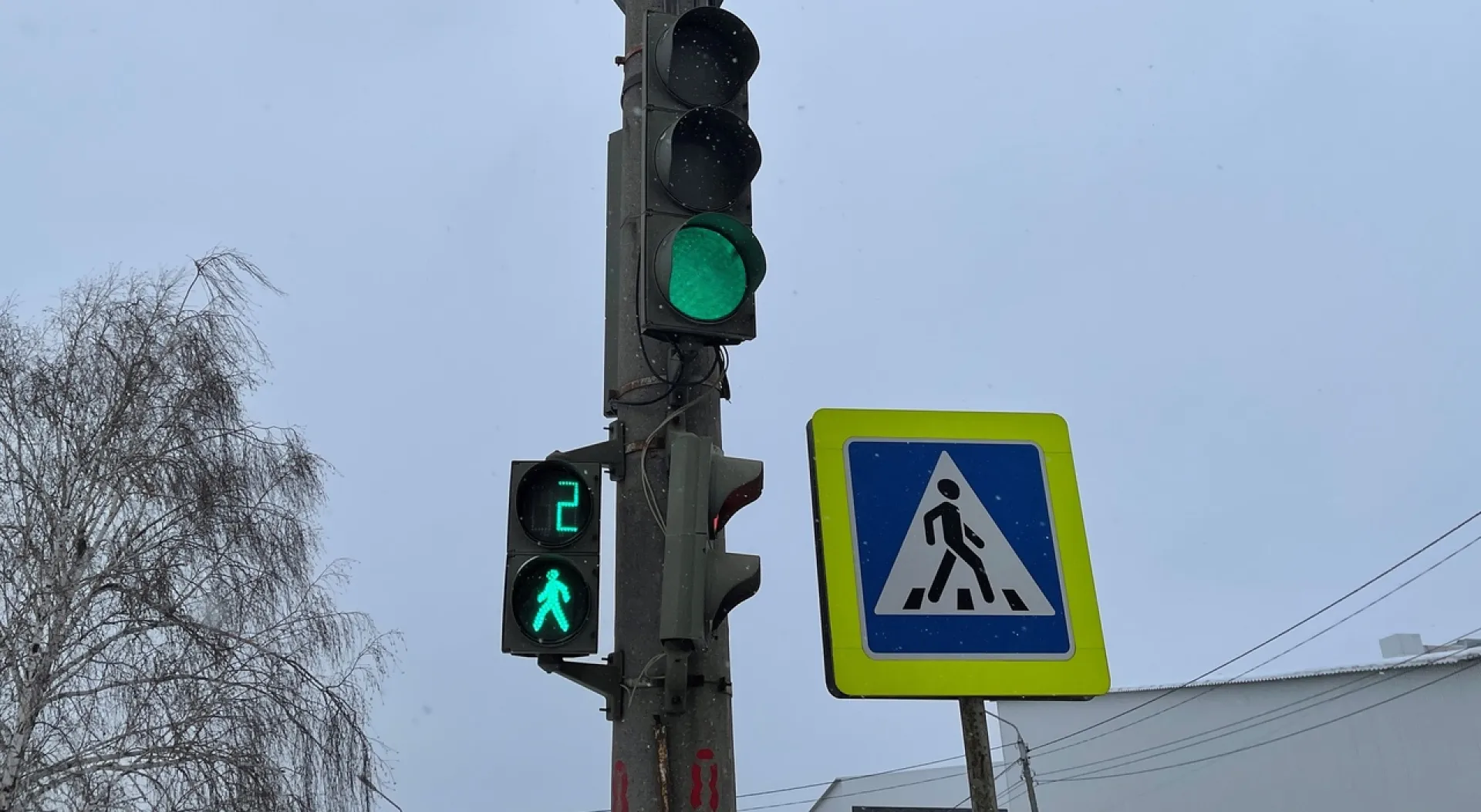 Движение транспорта по нечетной стороне проспекта Ленина восстановили в Барнауле