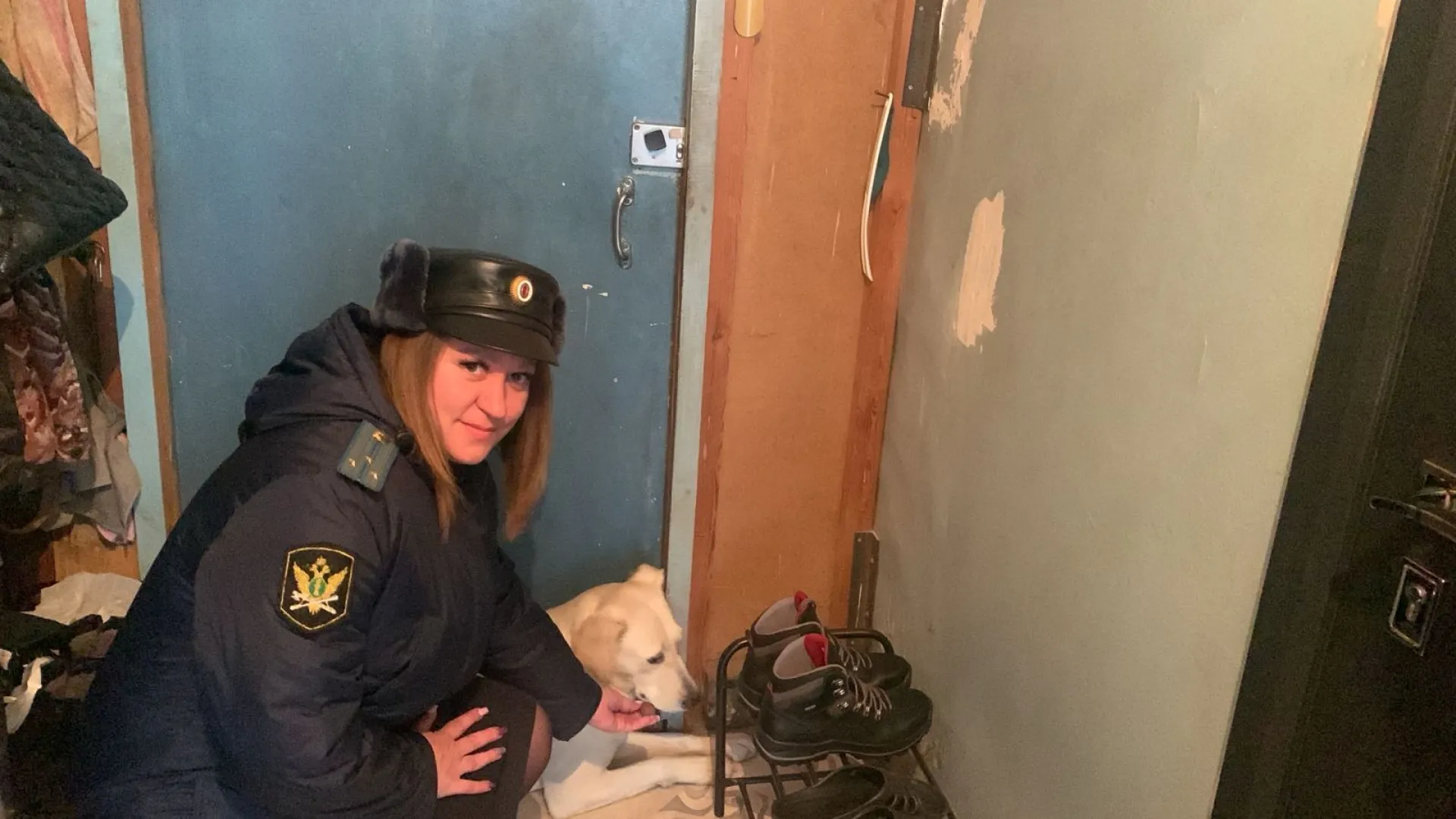 Потерявшаяся собака пришла к отделению судебных приставов в Заринске
