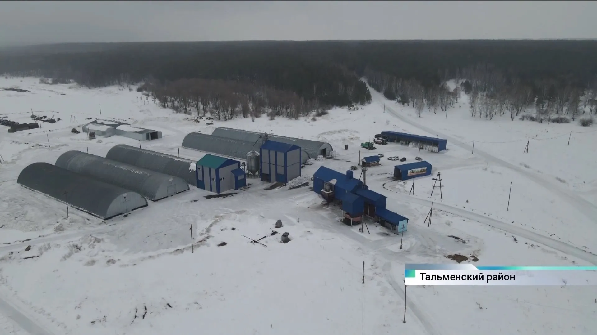 Семеноводческое предприятие в Тальменском районе снабжает семенами аграриев по всей России Семеноводческое предприятие в Тальменском районе снабжает семенами аграриев по всей России