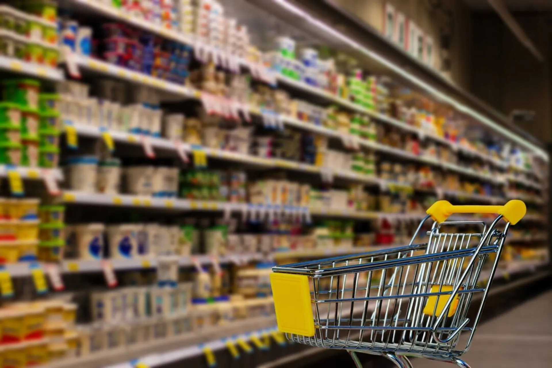 Опрос показал, сколько россиян имеют продуктовые запасы