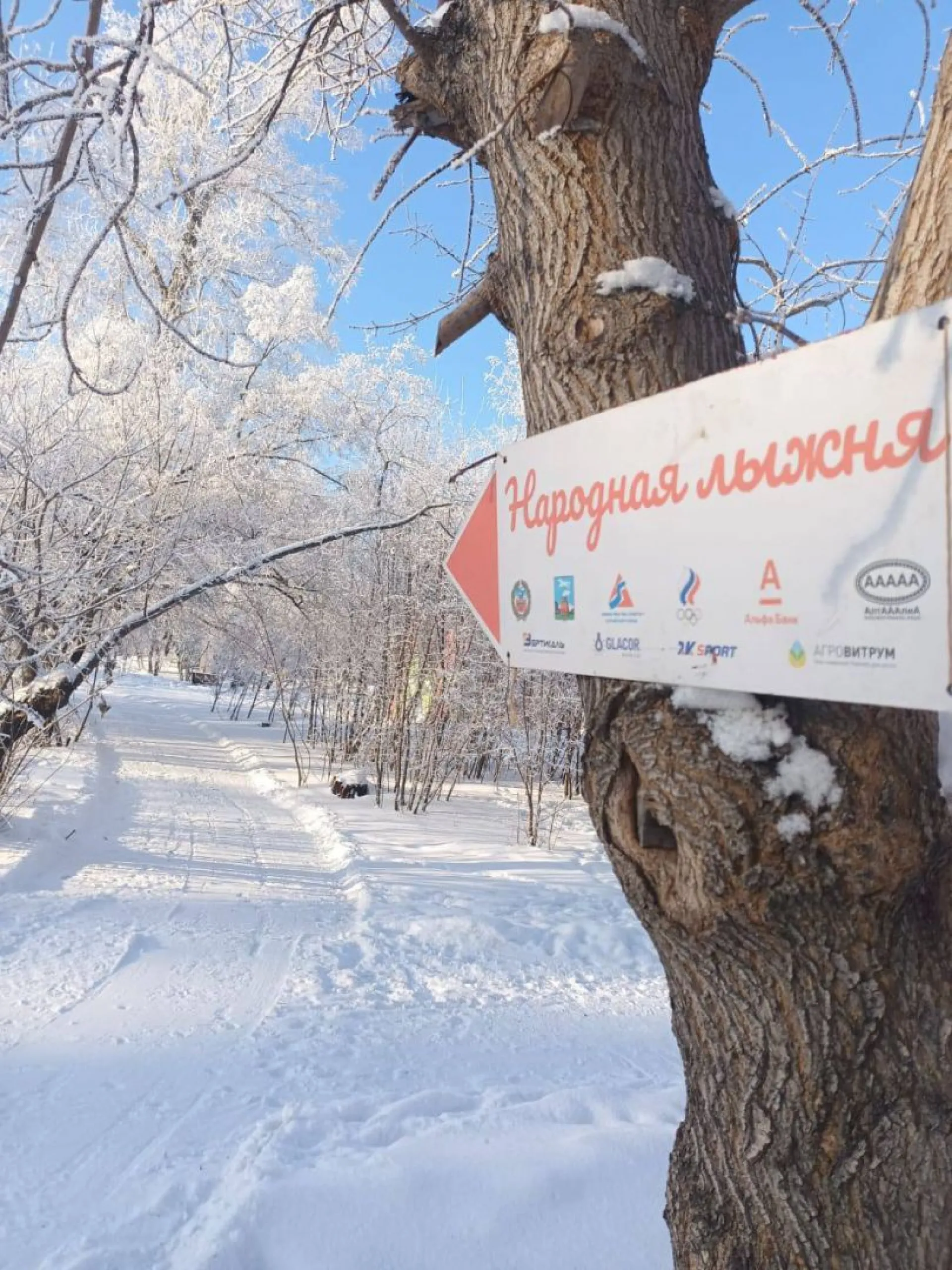 Лыжную трассу открыли в барнаульском парке