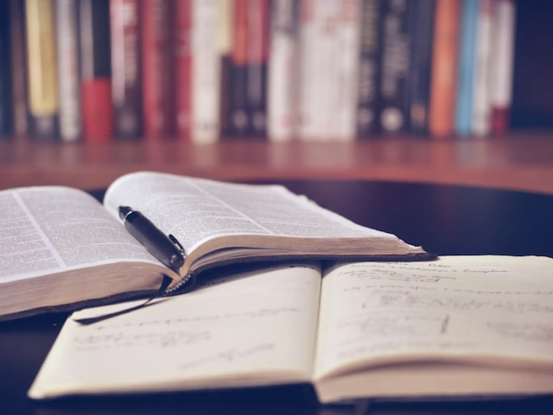 Книгу авторства уроженки Алтайского края презентуют спустя несколько десятков лет после её написания Книгу авторства уроженки Алтайского края презентуют спустя несколько десятков лет после её написания