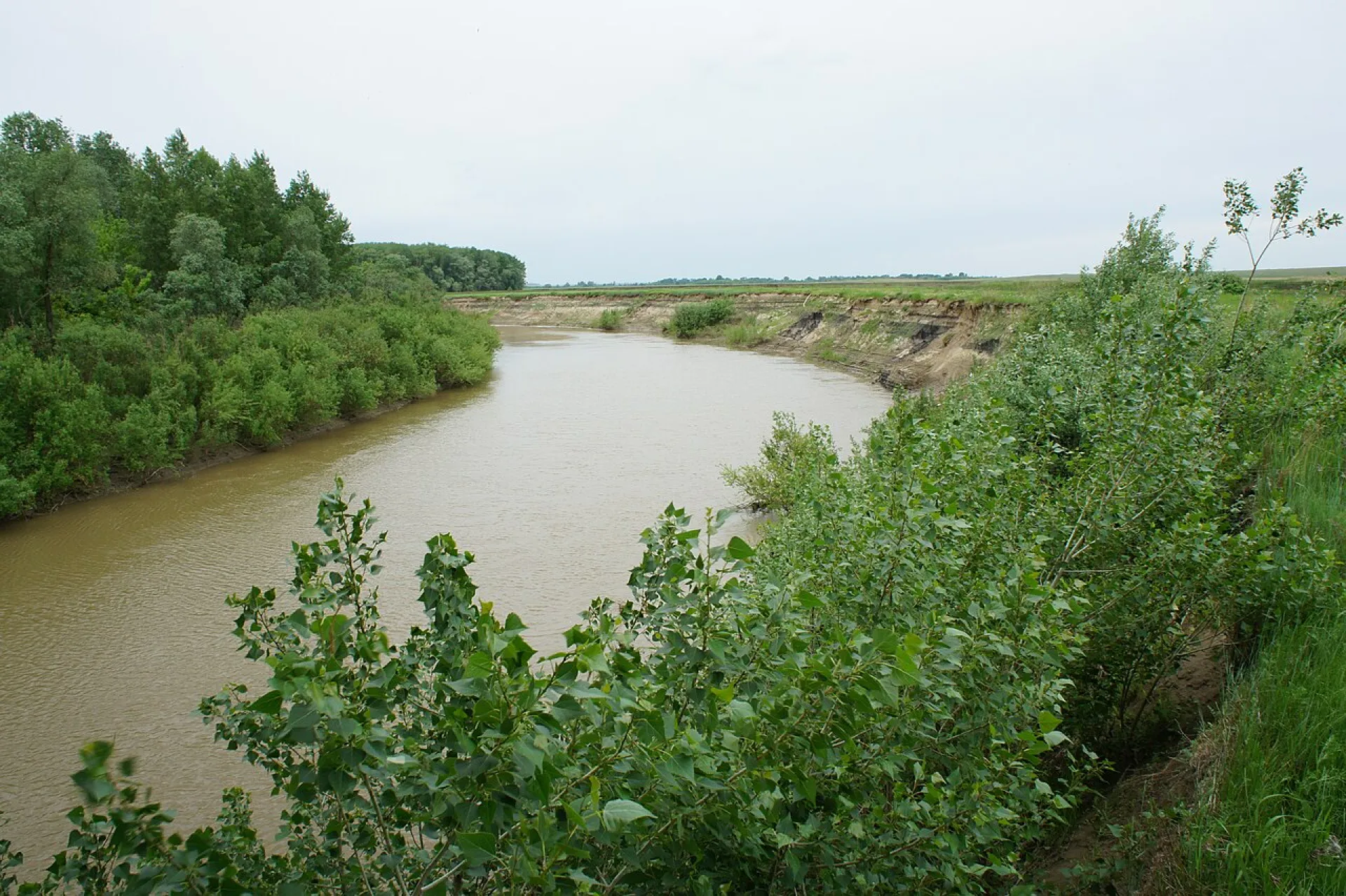 В реке Алей прогнозируют подъём уровня воды В реке Алей прогнозируют подъём уровня воды