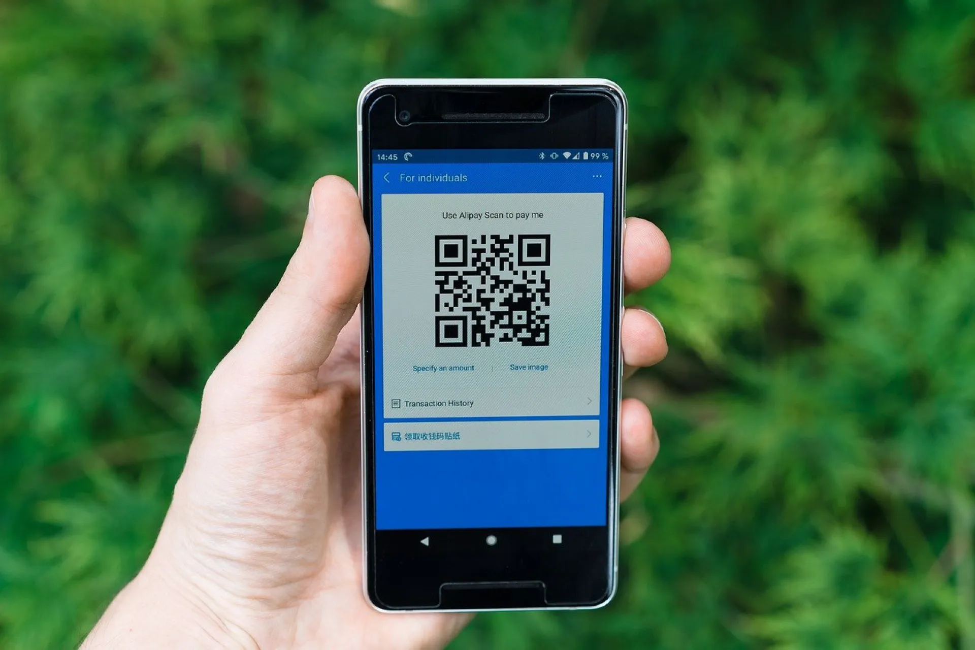 Алтайский Роспотребнадзор не исключает введение QR-кодов в общественном транспорте