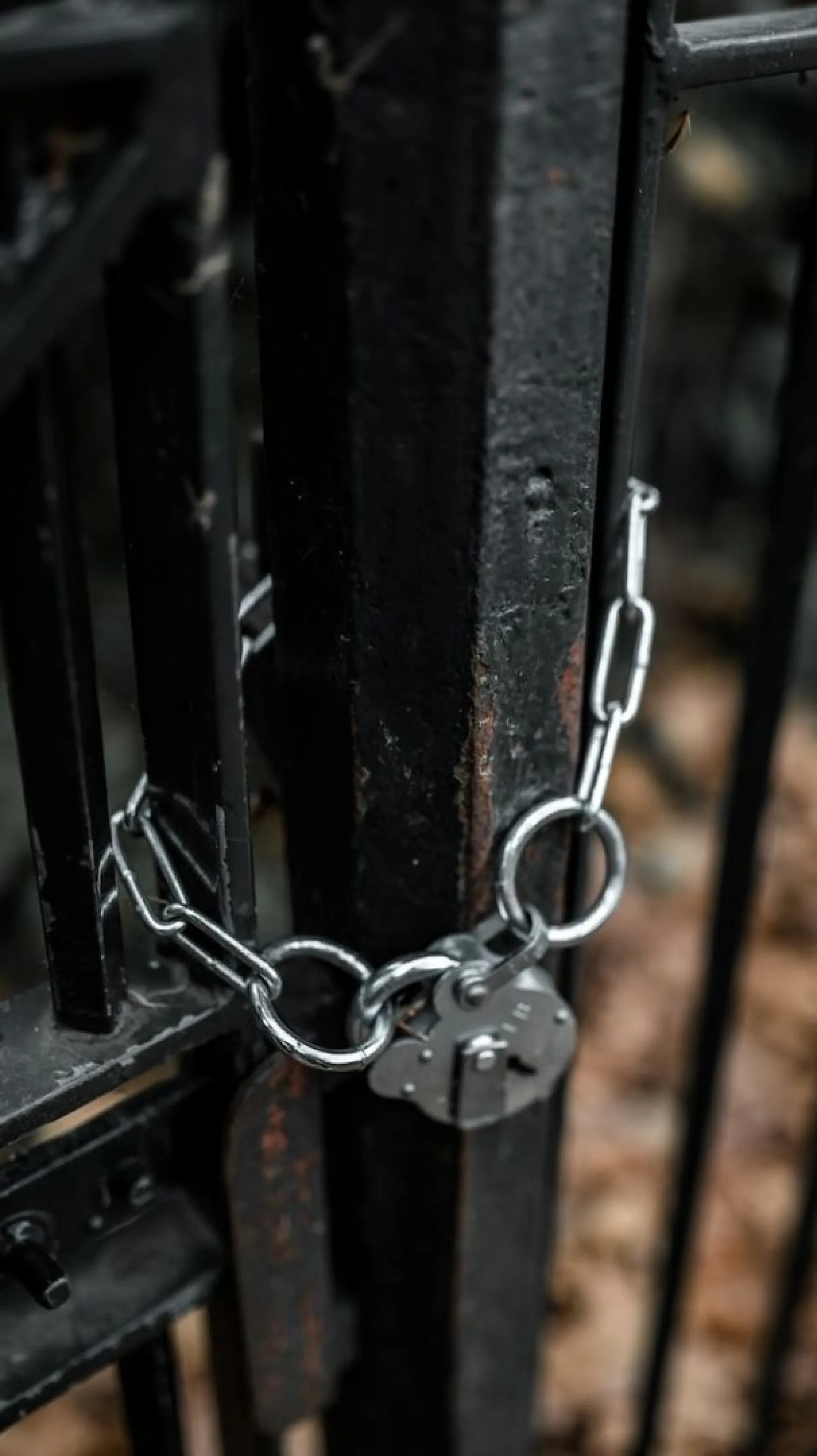 Задушившего бывшую жену барнаульца заключили под стражу Задушившего бывшую жену барнаульца заключили под стражу