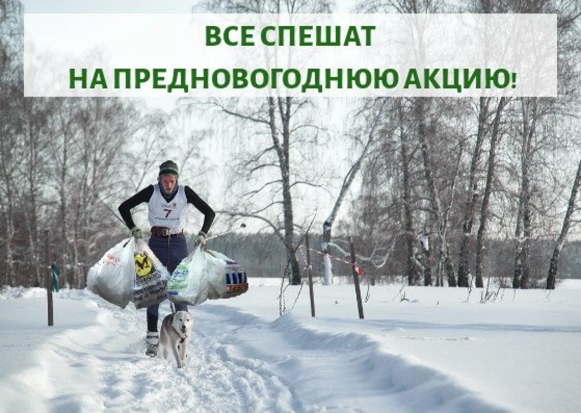 30 точек раздельного сбора мусора будут работать в Барнауле 21 декабря