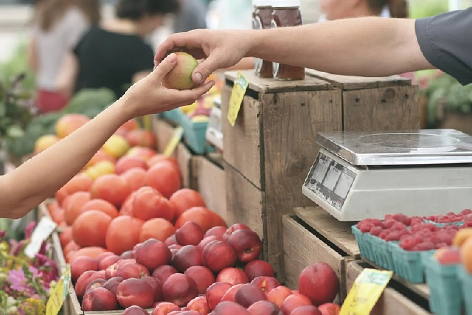 В Барнауле началась последняя в сезоне продуктовая ярмарка В Барнауле началась последняя в сезоне продуктовая ярмарка