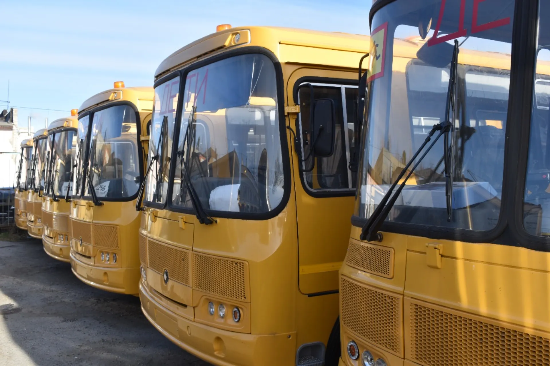 Школы Алтайского края получат 100 новых автобусов