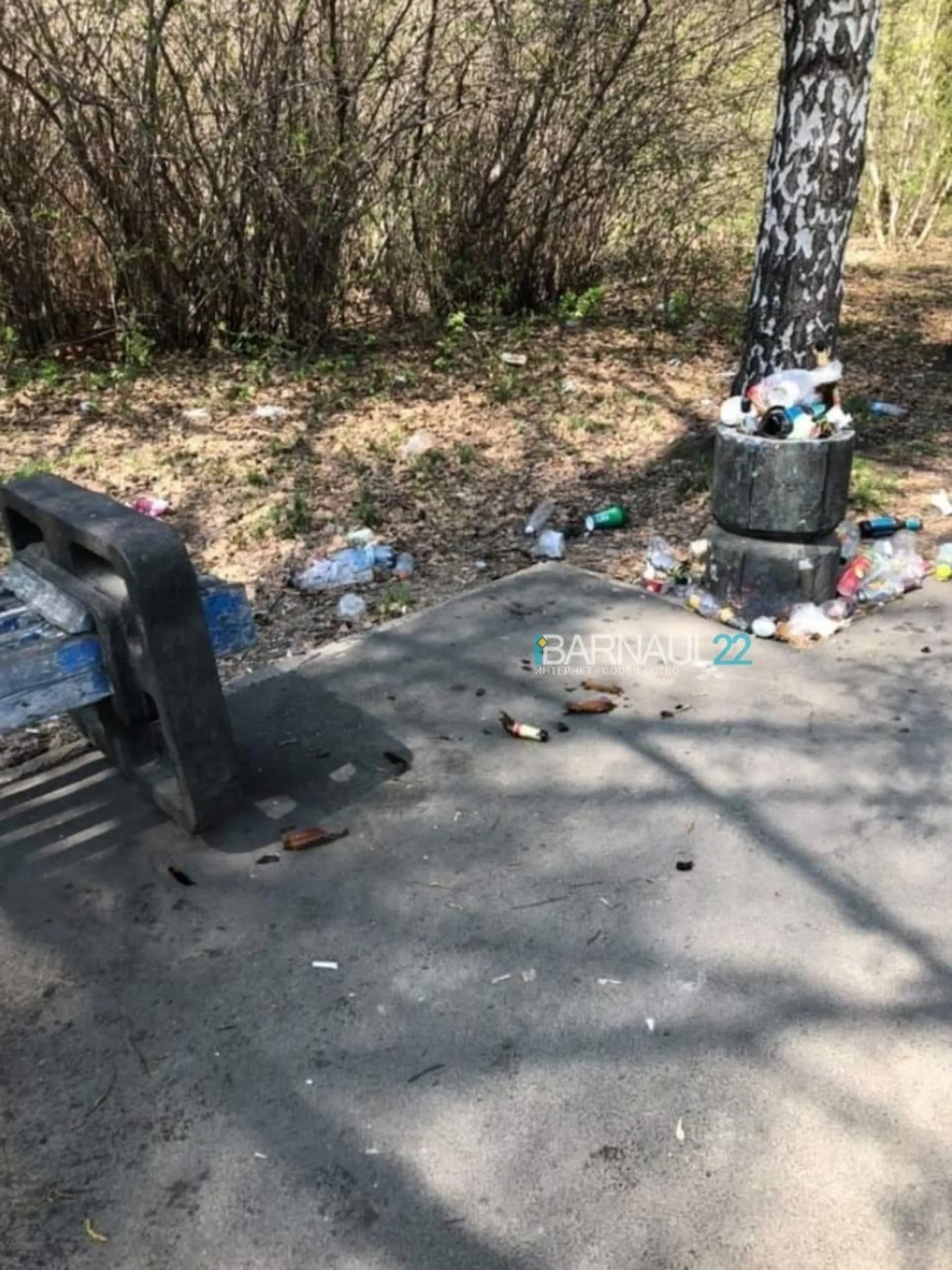 Барнаульцы возмутились беспорядком на городской аллее