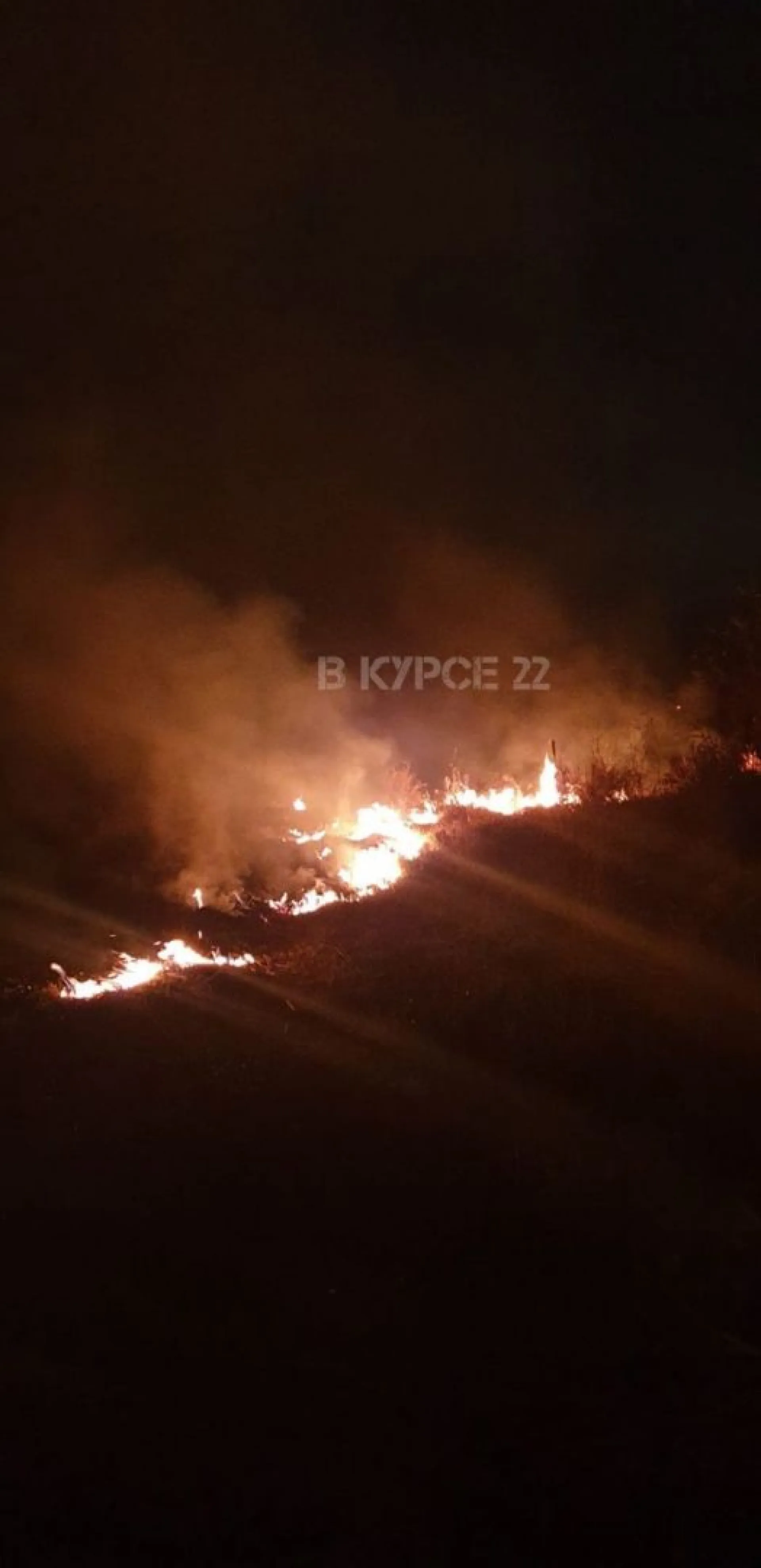 Огонь накрыл поля возле села в Алтайском крае Огонь накрыл поля возле села в Алтайском крае