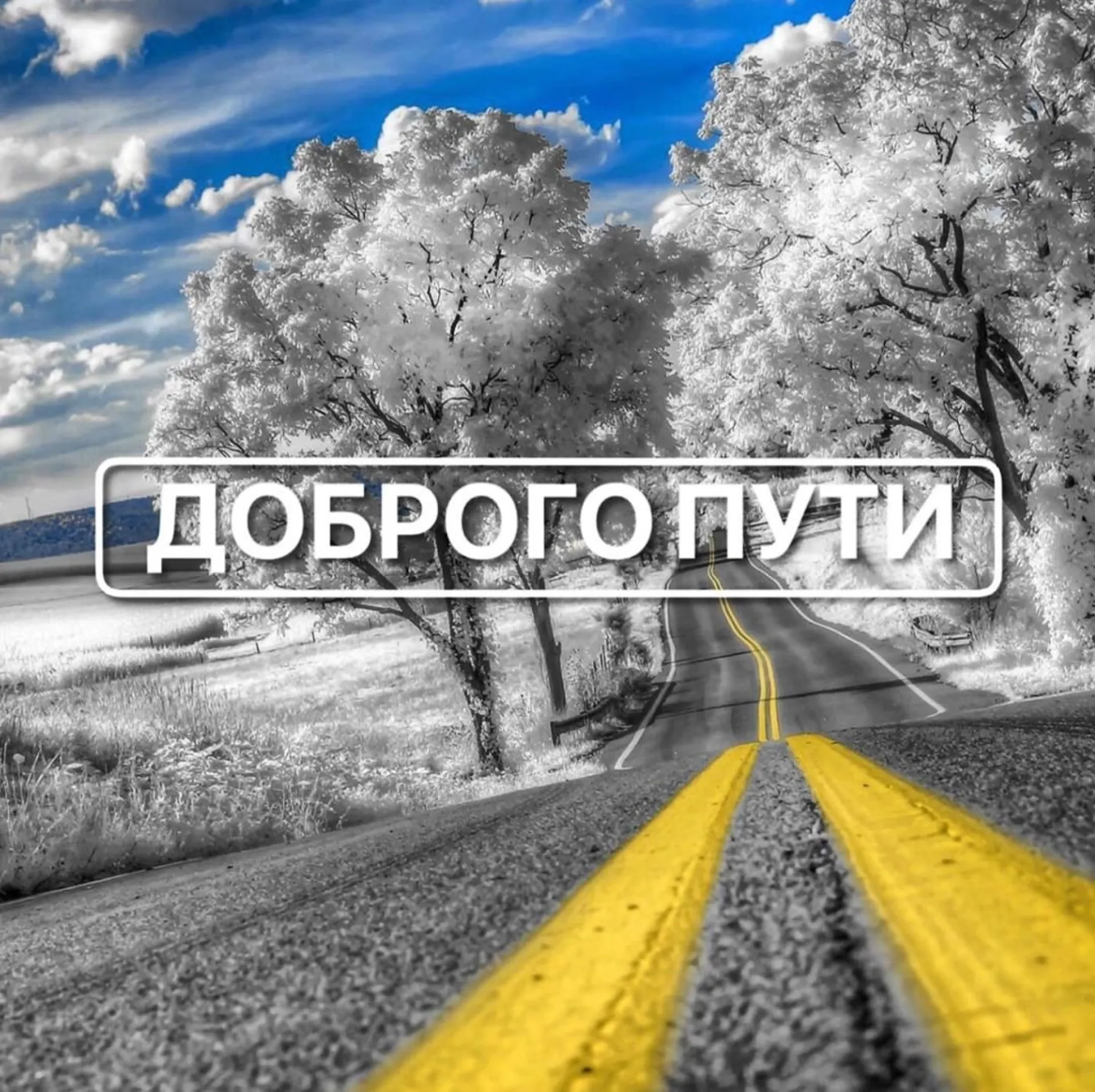 Министр транспорта Алтайского края обратился к жителям региона Министр транспорта Алтайского края обратился к жителям региона