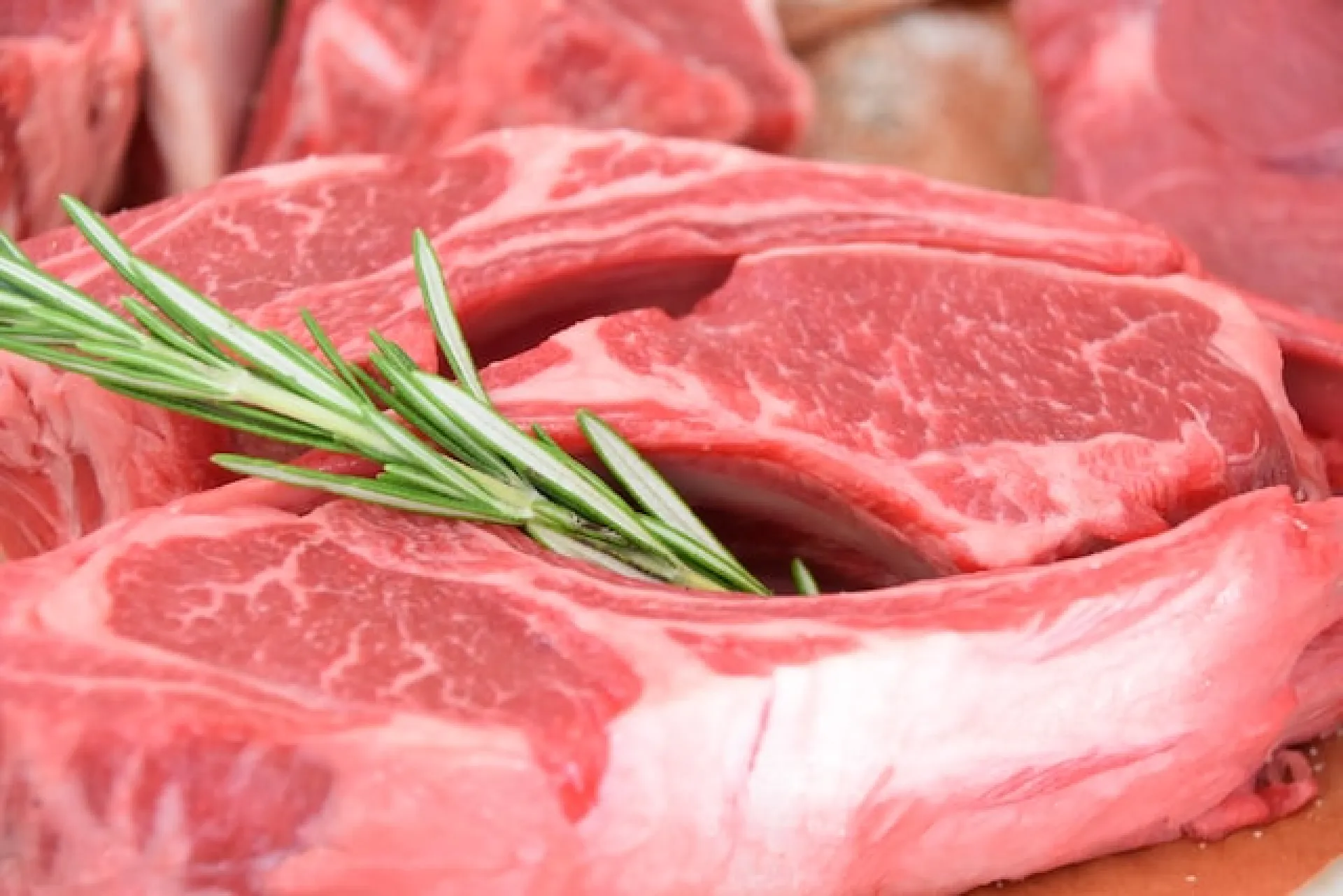 Учёные разработали аналог мясного продукта из личинок насекомых