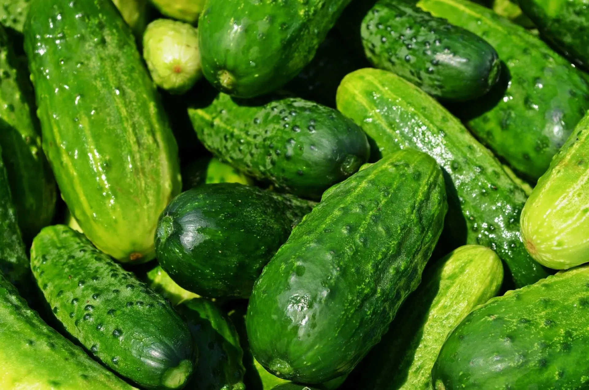 В Барнауле пройдет финальная в этом сезоне продуктовая ярмарка В Барнауле пройдет финальная в этом сезоне продуктовая ярмарка
