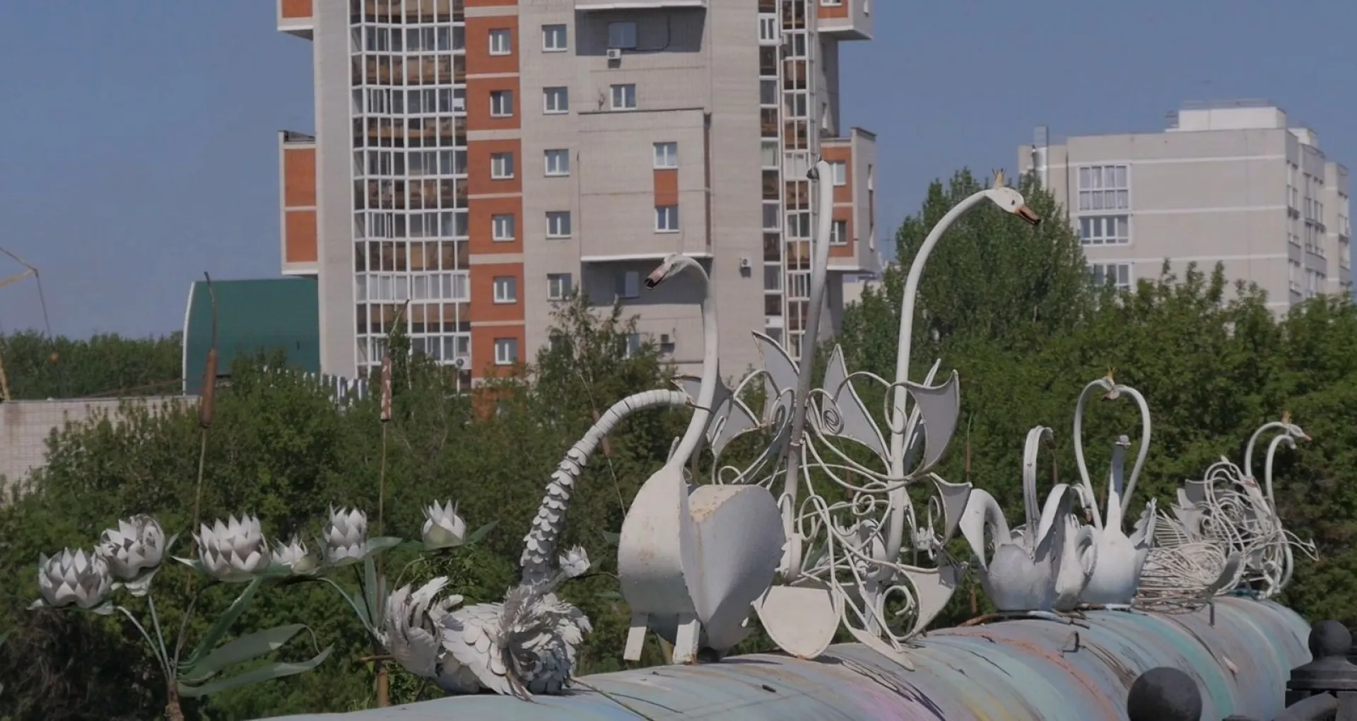Стало известно, куда и почему пропали лебеди с моста у Нового рынка в Барнауле