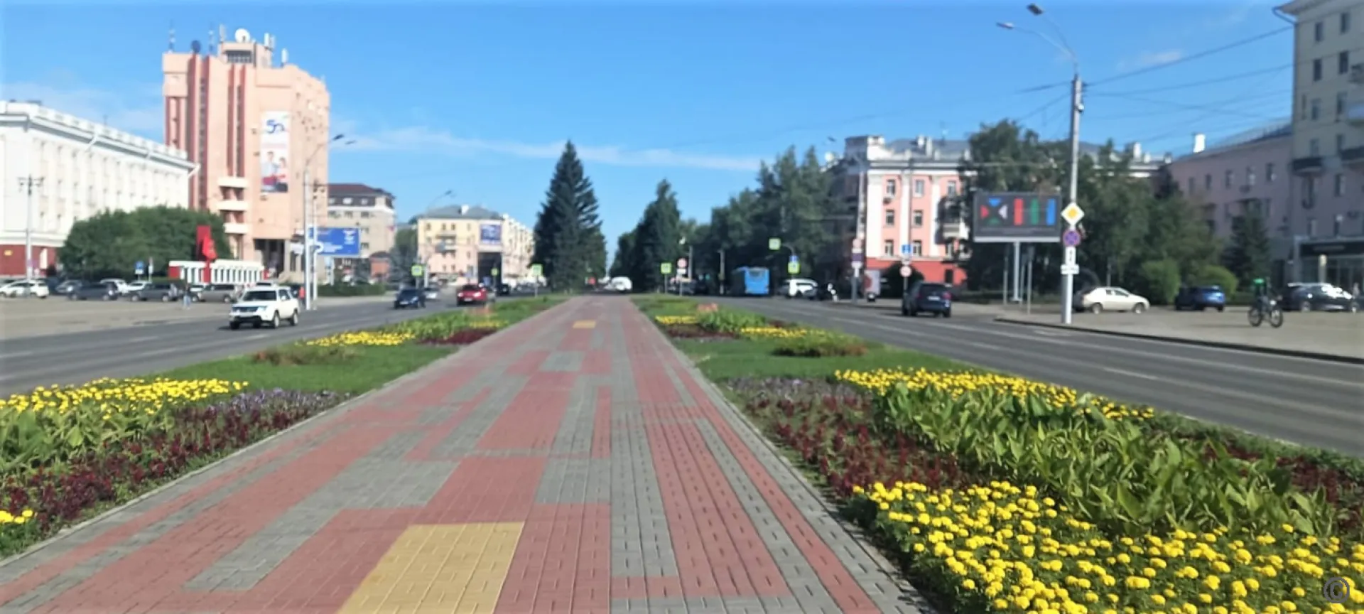 Более 450 тысяч цветов высадили на клумбах Барнаула Более 450 тысяч цветов высадили на клумбах Барнаула