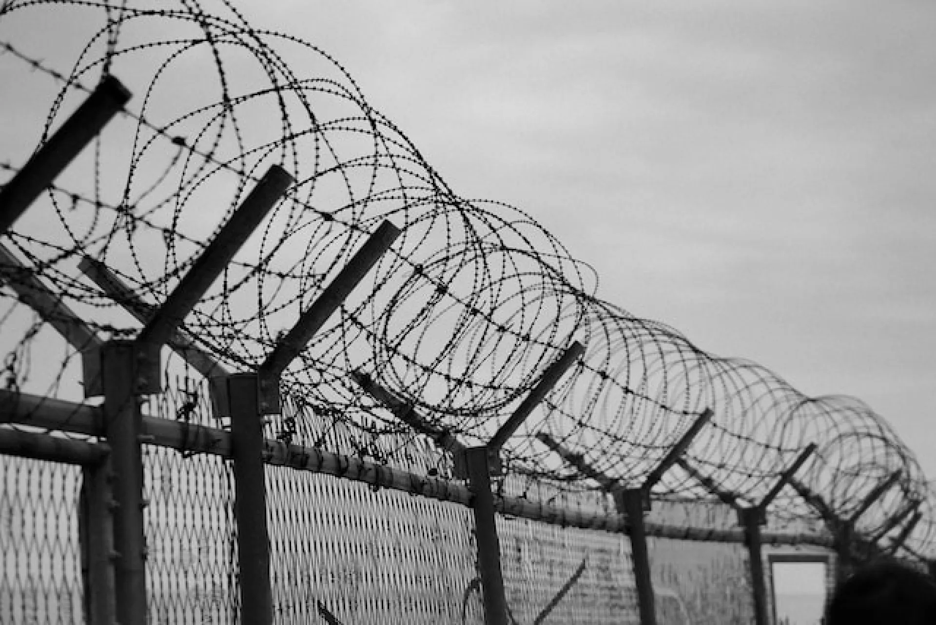 Приговор за связь с террористической организацией вынесли жительнице Барнаула