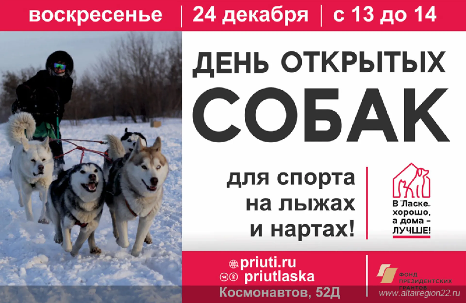 В приюте «Ласка» пройдет день открытых дверей