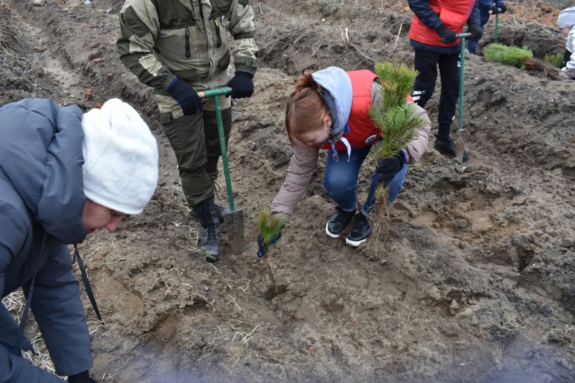 Международная акция по озеленению продолжается в Алтайском крае
